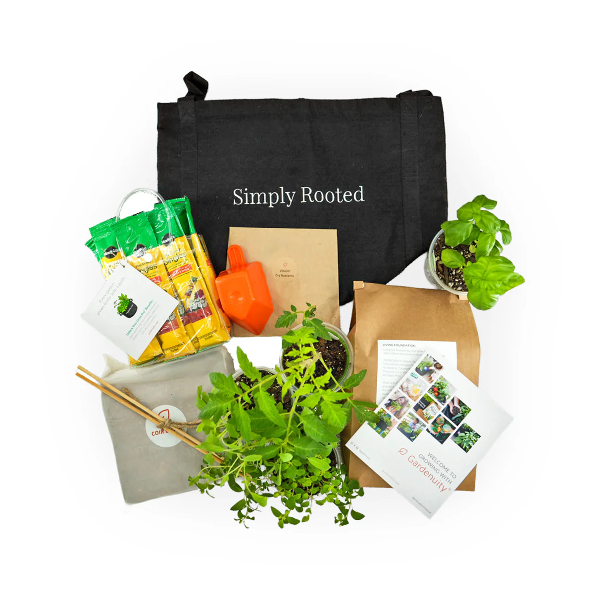 Grow Your Best Garden Today